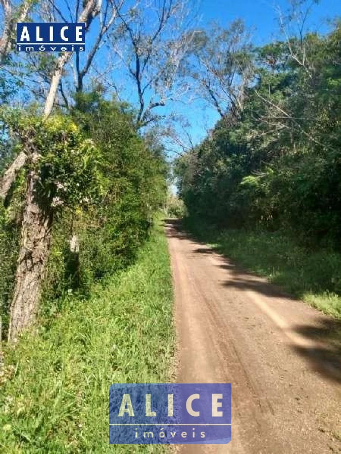 Imagem de Sítio em Pedro Martins Maxmiliano bairro Olhos Dagua