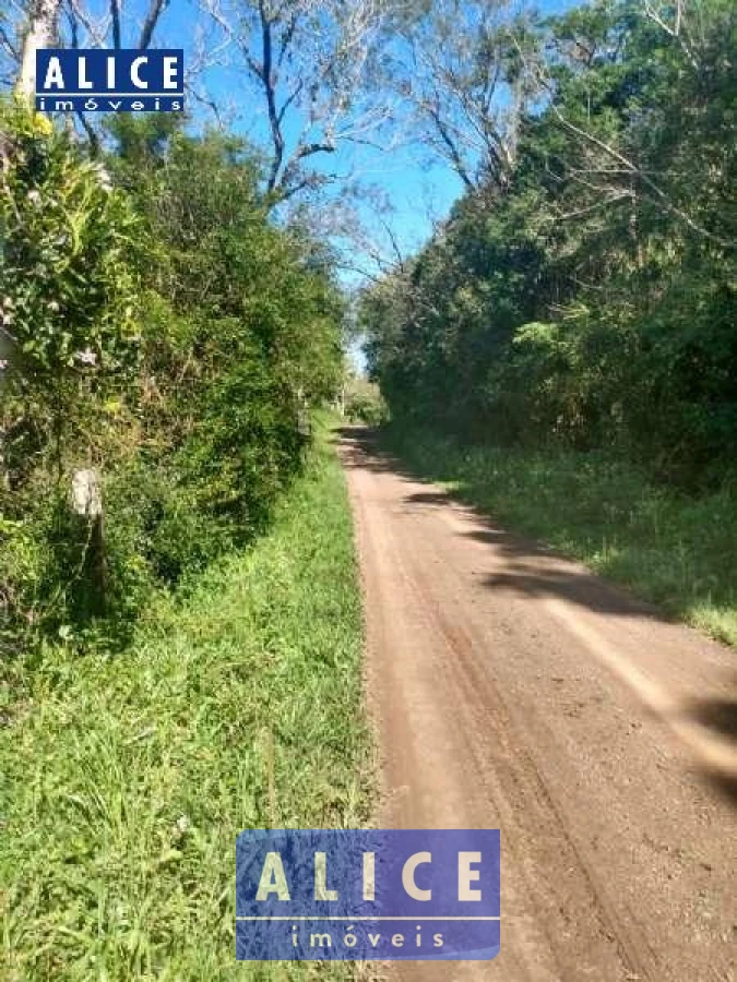 Imagem de Sítio em Pedro Martins Maxmiliano bairro Olhos Dagua