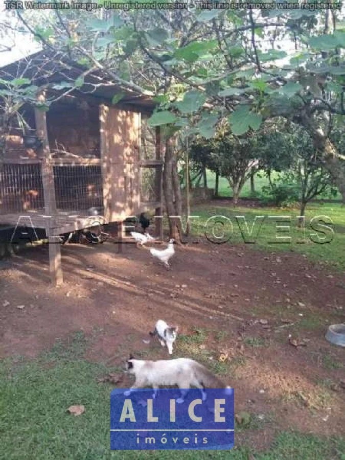 Imagem de Sítio em Rio Da Ilha bairro Vila Teresa