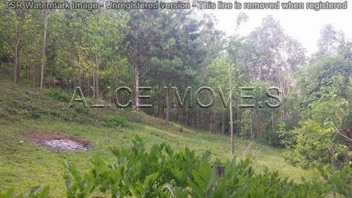 Imagem de Sítio em Taquara bairro Padilha