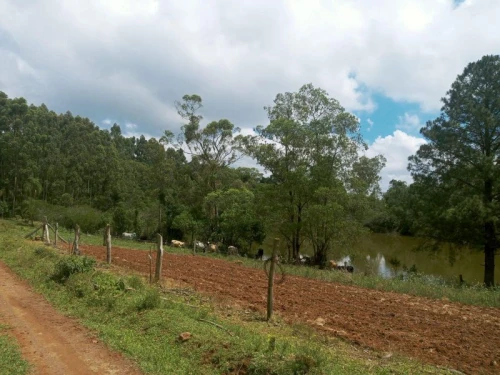 Imagem de Sítio em Taquara bairro Fazenda Fialho