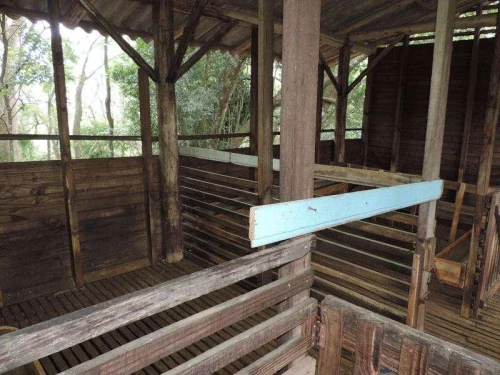 Imagem de Sítio em Taquara bairro Fazenda Fialho