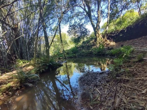 Imagem de Sítio em Taquara bairro Fazenda Fialho