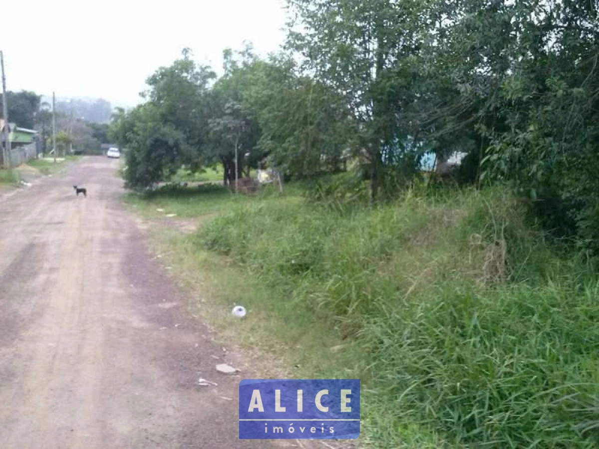 Imagem de Terreno em Eloy Teresinha Carniel Schein bairro Tucanos