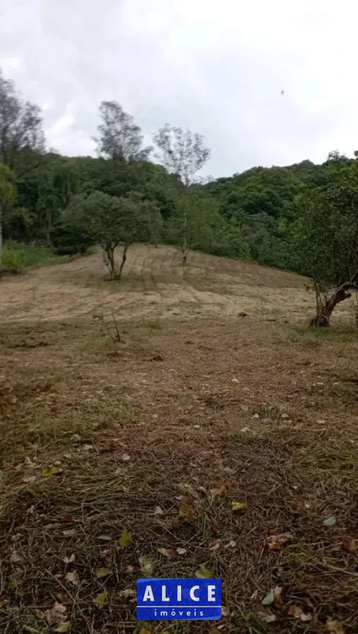 Sítio em Taquara bairro Santa Rosa - Santa Rosa, Taquara [11102]