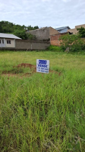 Imagem de Terreno em Taquara bairro Santa Rosa