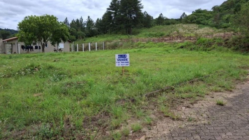 Imagem de Terreno em Taquara bairro Santa Rosa
