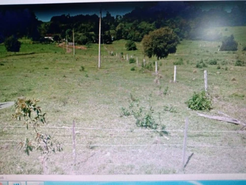 Imagem de Terreno em Taquara bairro Santa Rosa