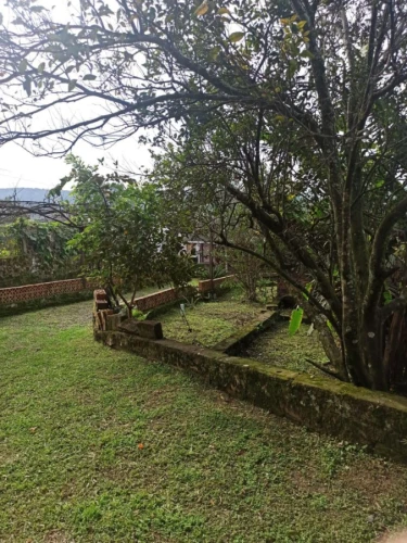 Imagem de Casa em Taquara bairro Santa Rosa