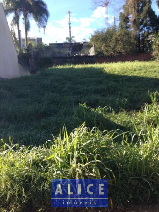 Imagem de Terreno em Vicente Luiz Ferreira bairro Morro Do Leoncio 