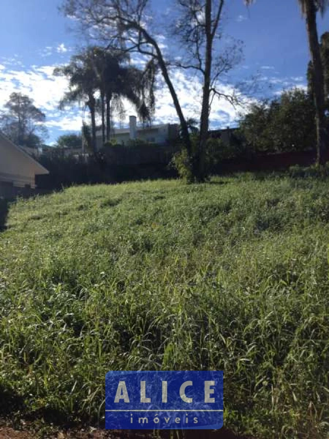 Imagem de Terreno em Vicente Luiz Ferreira bairro Morro Do Leoncio 