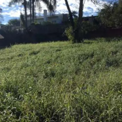 Imagem de Terreno em Vicente Luiz Ferreira bairro Morro Do Leoncio 