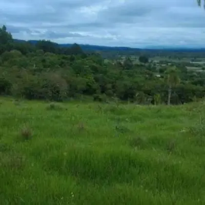 Imagem de Sítio em Travessa Nunes bairro Olhos Dagua