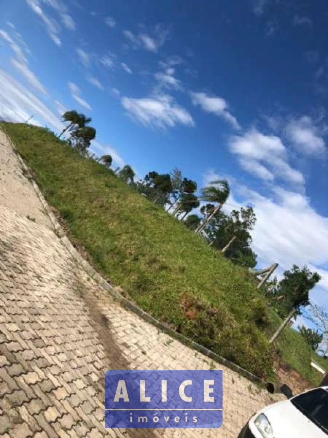 Imagem de Terreno em Avenida Albino Ebling- Rs 239 bairro Ideal