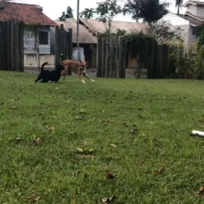 Imagem de Terreno em Olinda Muller bairro Nossa Senhora De Fátima