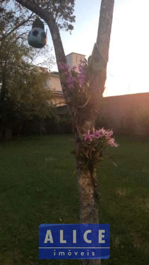 Imagem de Terreno em Olinda Muller bairro Nossa Senhora De Fátima