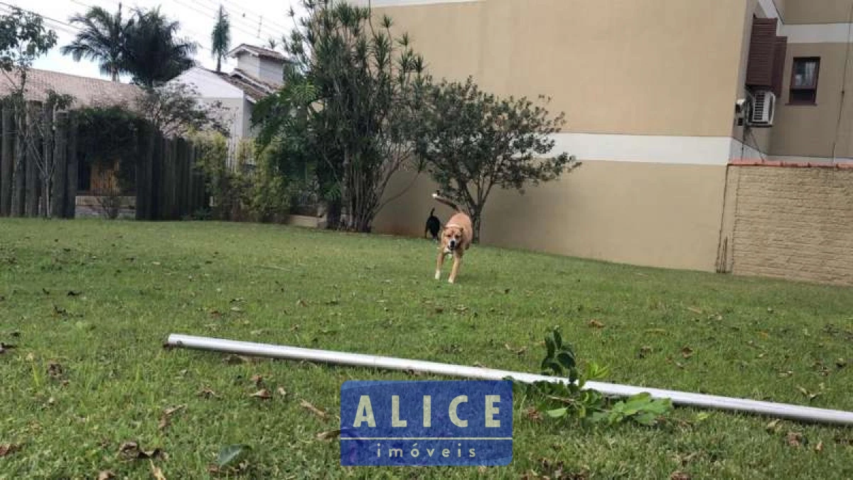 Imagem de Terreno em Olinda Muller bairro Nossa Senhora De Fátima