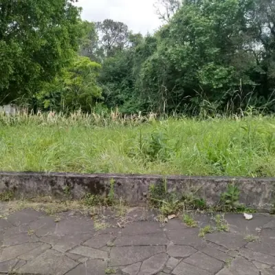 Imagem de Terreno em Arnaldo Da Costa Bard bairro Sagrada Família