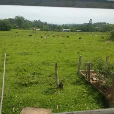 Imagem de Terreno em Estrada Velha Para Rolante bairro Rio Da Ilha (distrito)