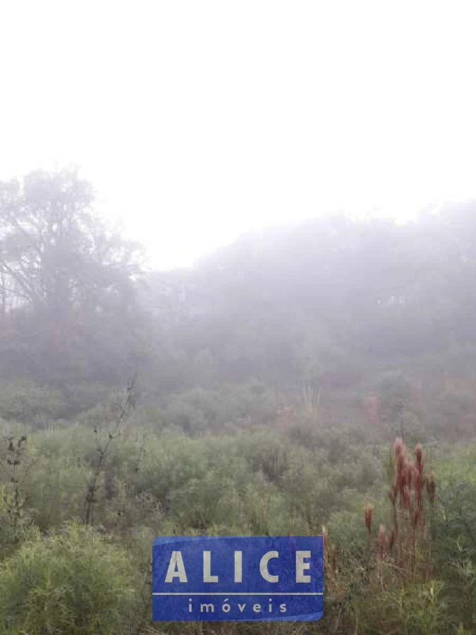 Imagem de Sítio em Estrada Morro Da Figueira bairro Centro