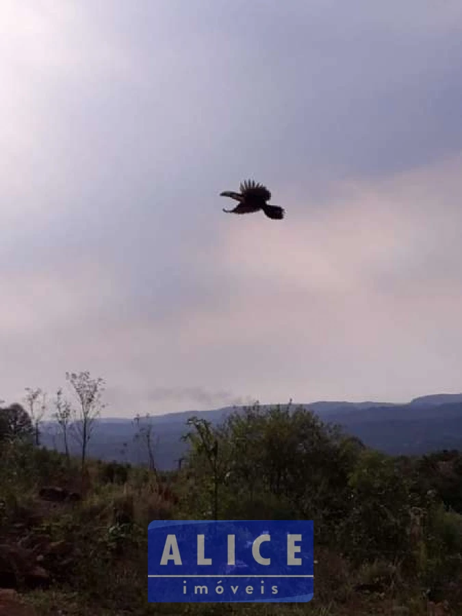 Imagem de Sítio em Estrada Morro Da Figueira bairro Centro