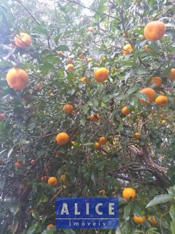 Imagem de Sítio em Estrada Morro Da Figueira bairro Centro