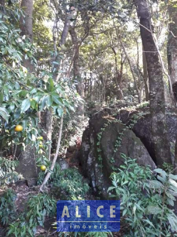 Imagem de Sítio em Estrada Morro Da Figueira bairro Centro