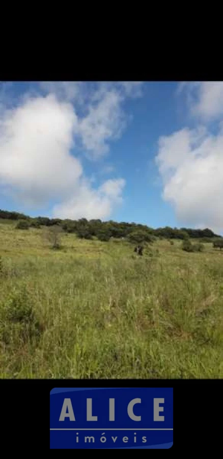 Imagem de Sítio em Estrada Morro Da Figueira bairro Centro