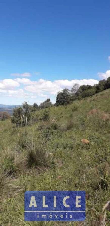 Imagem de Sítio em Estrada Morro Da Figueira bairro Centro