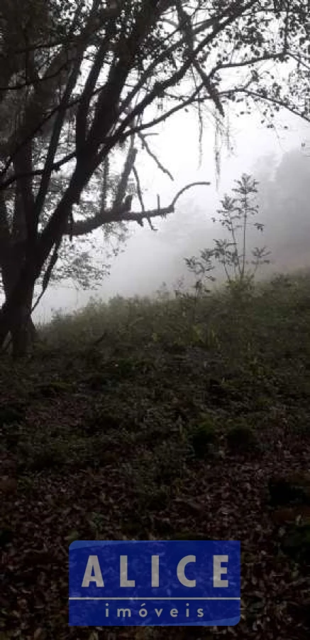 Imagem de Sítio em Estrada Morro Da Figueira bairro Centro