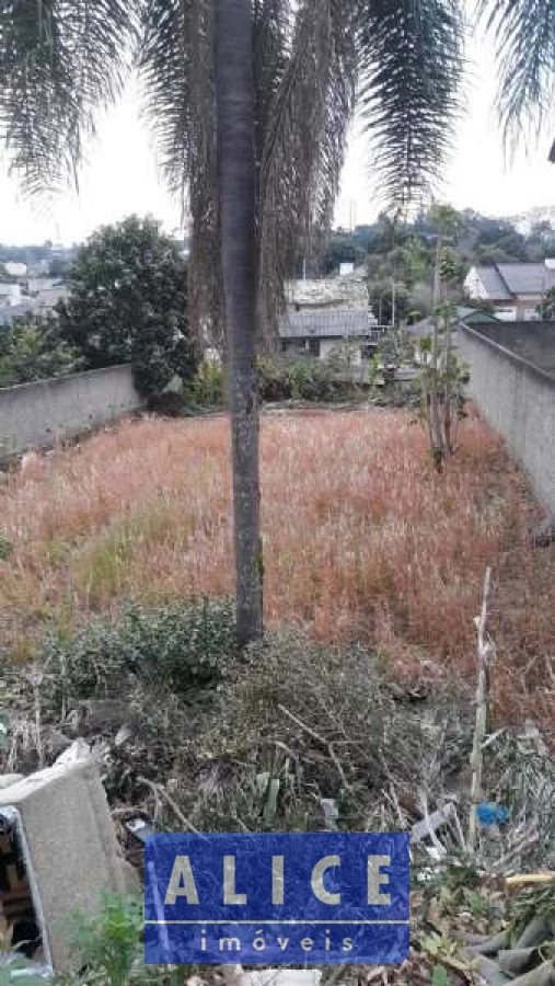 Imagem de Terreno em Ernesto Robinson bairro Cruzeiro Do Sul