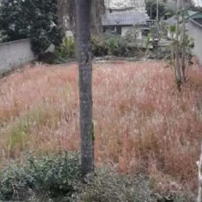 Imagem de Terreno em Ernesto Robinson bairro Cruzeiro Do Sul