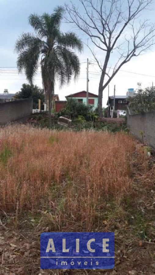 Imagem de Terreno em Ernesto Robinson bairro Cruzeiro Do Sul