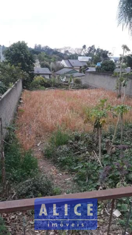 Imagem de Terreno em Ernesto Robinson bairro Cruzeiro Do Sul