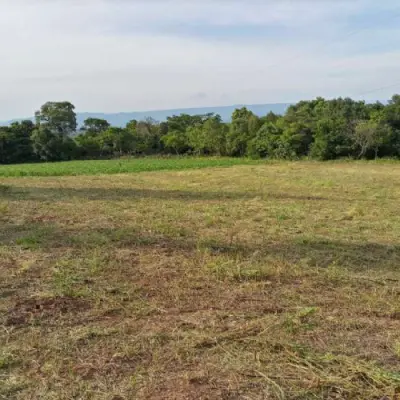 Imagem de Sítio em Rs 020 bairro Santa Cruz Da Concórdia