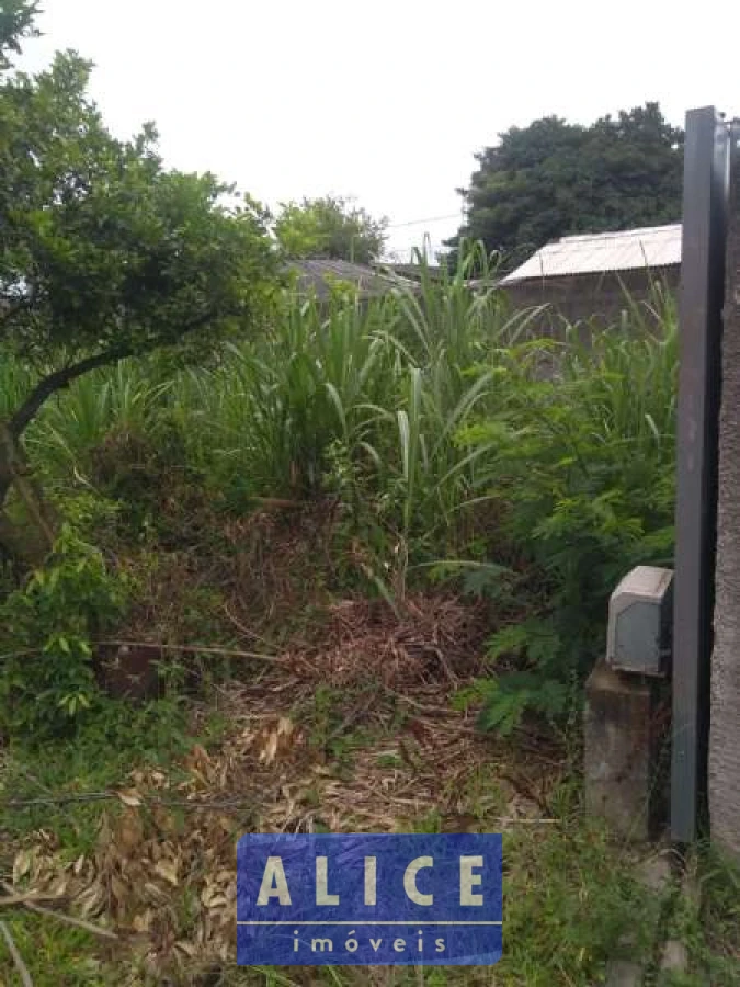 Imagem de Terreno em Rua Barbosa Lessa bairro Jardim Do Prado 