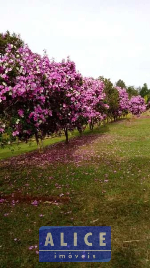 Imagem de Sítio em Estrada Santa Maria Do Butia bairro Lomba Grande