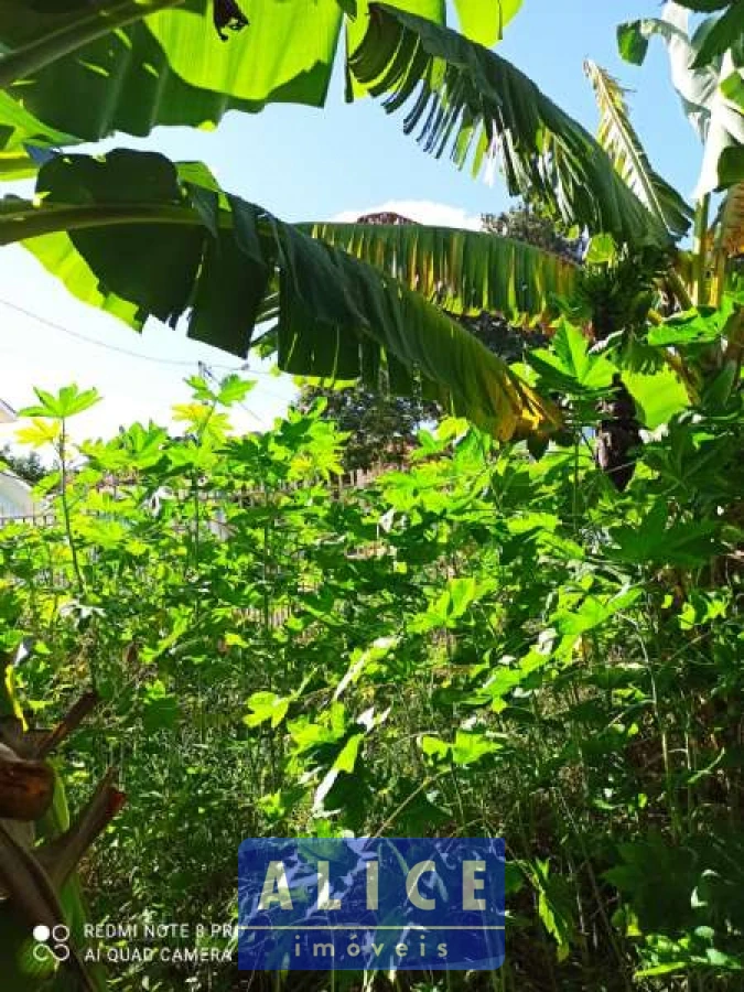 Imagem de Casa em Tristao Monteiro bairro Nossa Senhora De Fátima