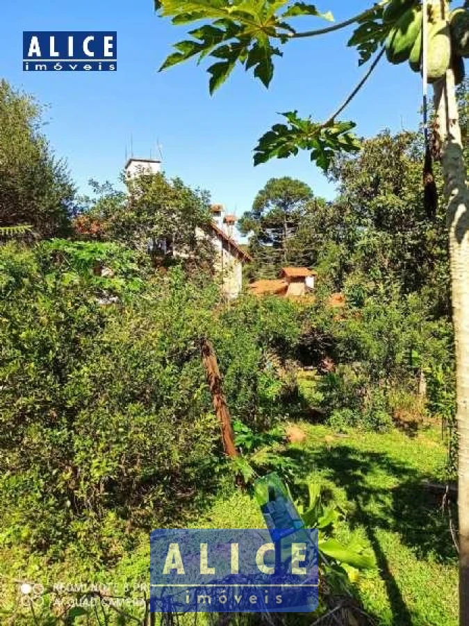 Imagem de Sítio em Estrada Fazenda Fialho bairro Fazenda Fialho