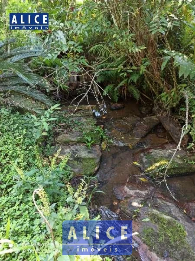 Imagem de Sítio em Estrada Fazenda Fialho bairro Fazenda Fialho