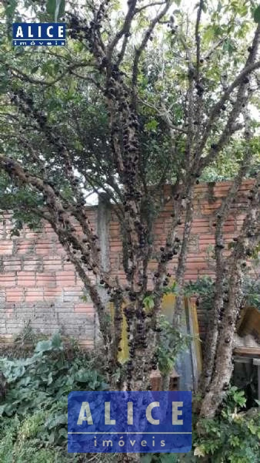 Imagem de Casa em Vinte E Quatro De Junho bairro Tucanos