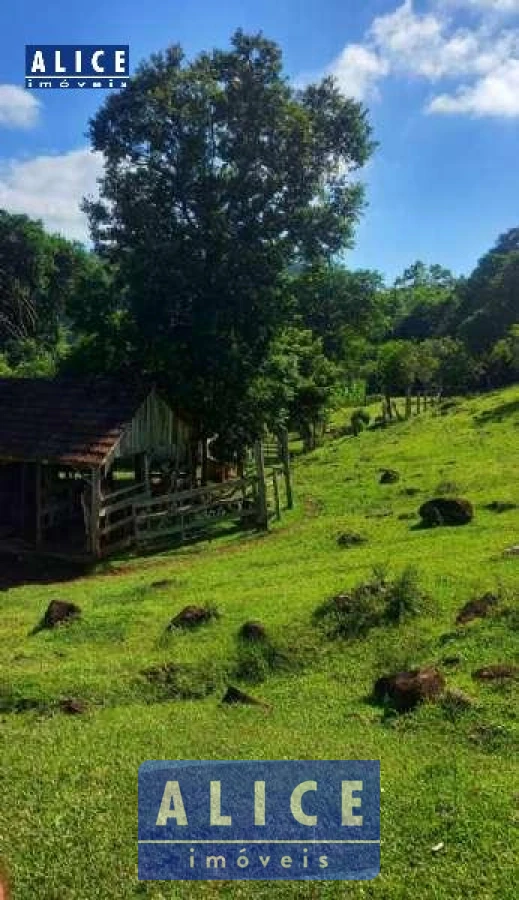 Imagem de Sítio em Batingueira bairro Batingueira