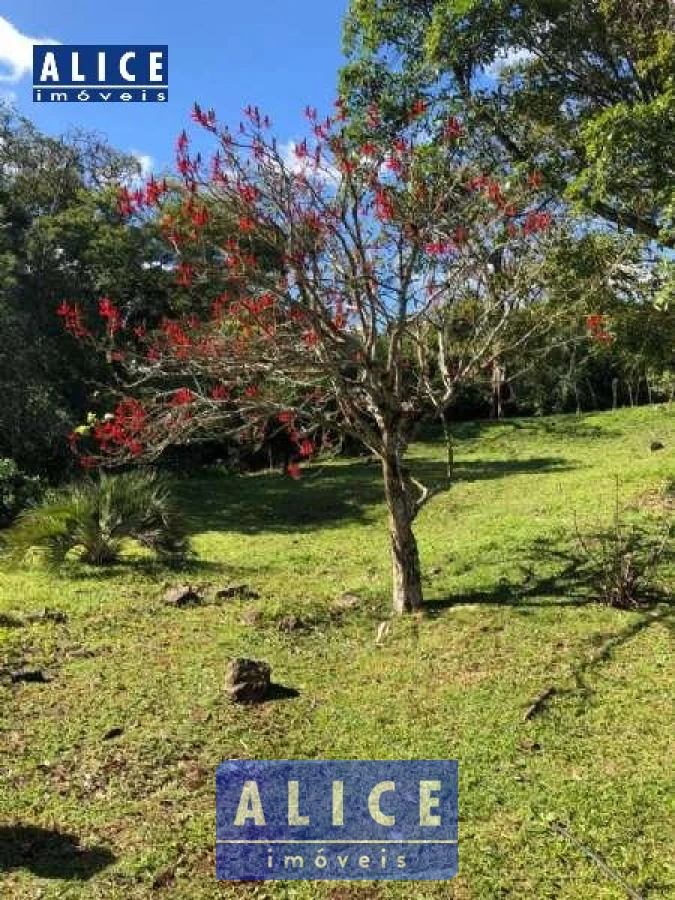 Imagem de Sítio em Batingueira bairro Batingueira