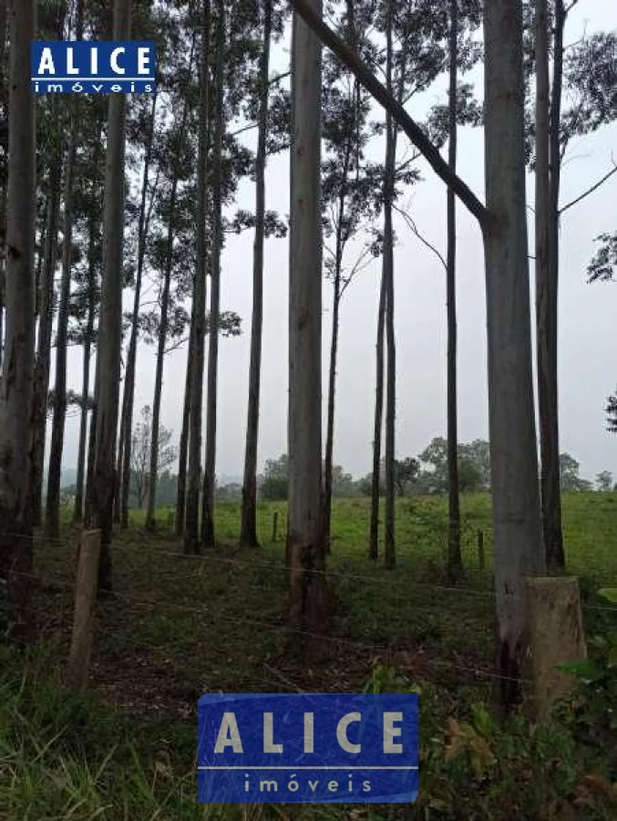 Imagem de Sítio em Estrada Pega Fogo bairro Pega Fogo (distrito)