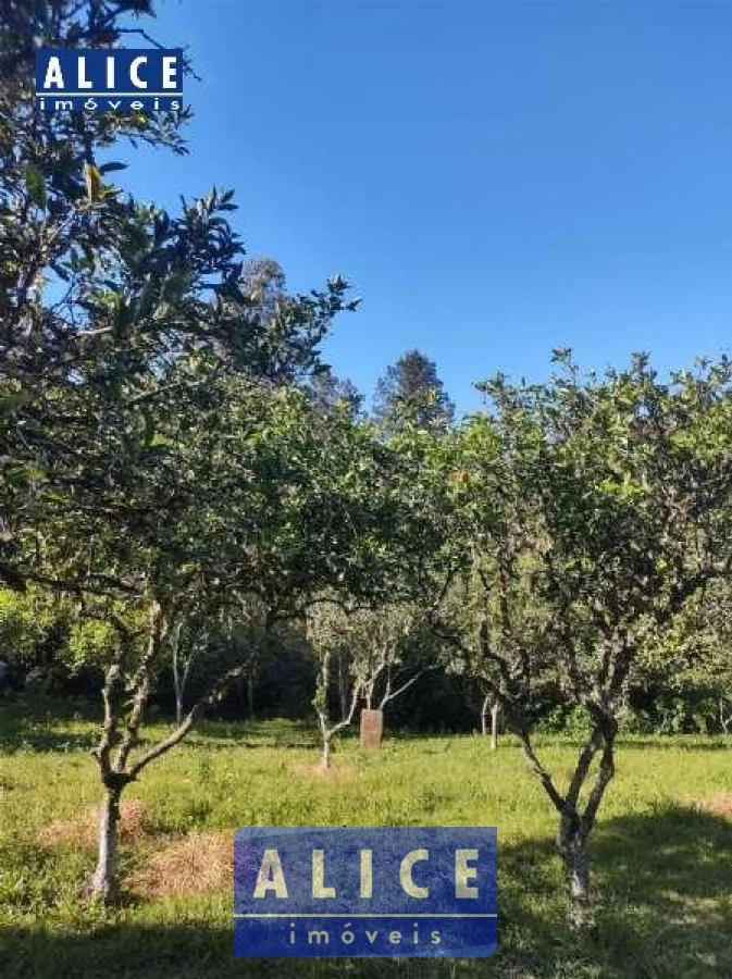 Imagem de Sítio em Hilario Da Silva bairro Fazenda Fialho