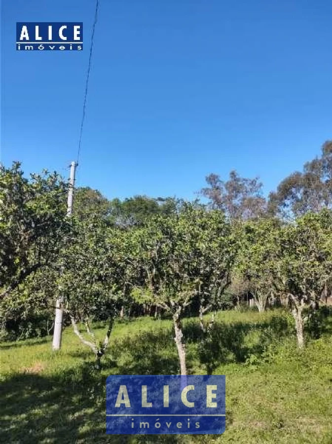 Imagem de Sítio em Hilario Da Silva bairro Fazenda Fialho