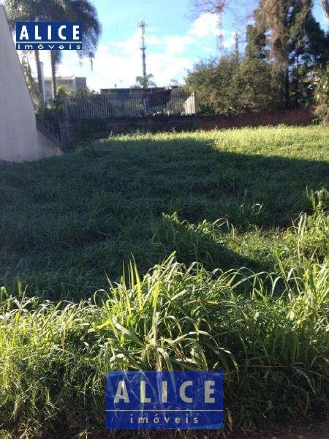 Imagem de Terreno em Vicente Luiz Ferreira bairro Morro Do Leoncio 