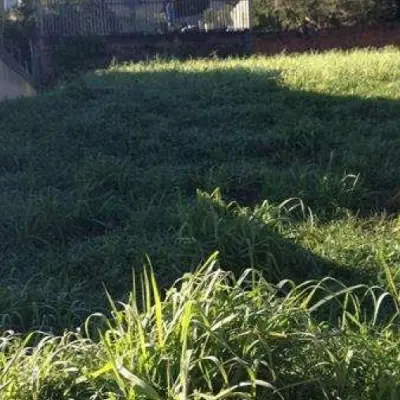 Imagem de Terreno em Vicente Luiz Ferreira bairro Morro Do Leoncio 