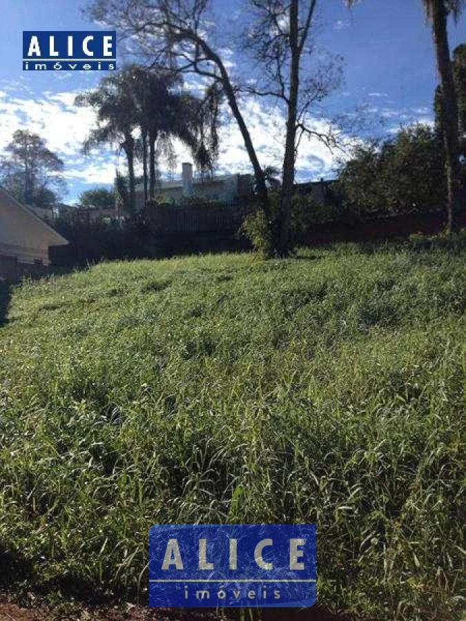 Imagem de Terreno em Vicente Luiz Ferreira bairro Morro Do Leoncio 