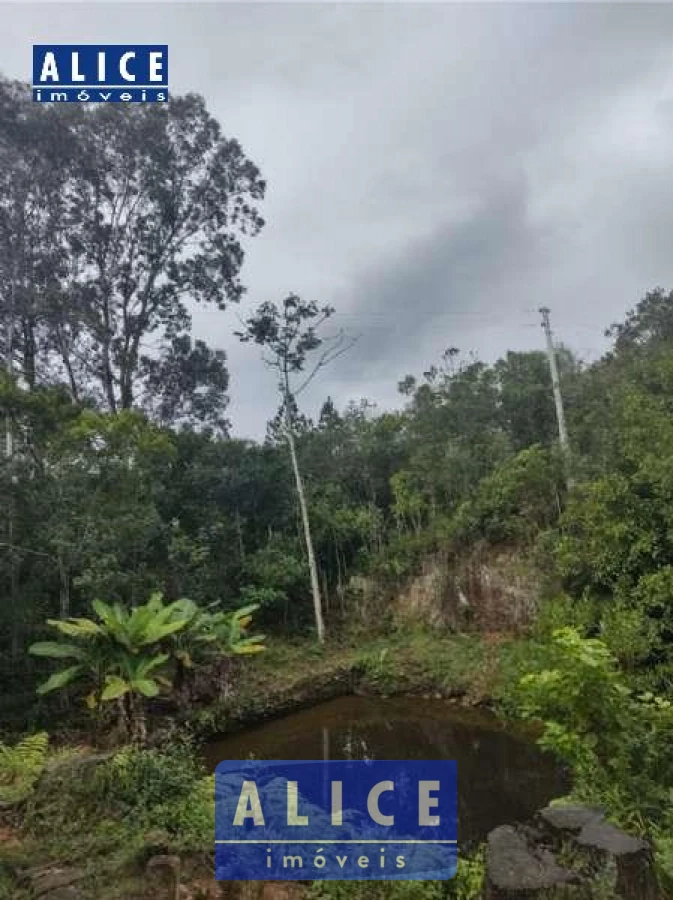 Imagem de Sítio em Paredao Baixo bairro Paredão Baixo